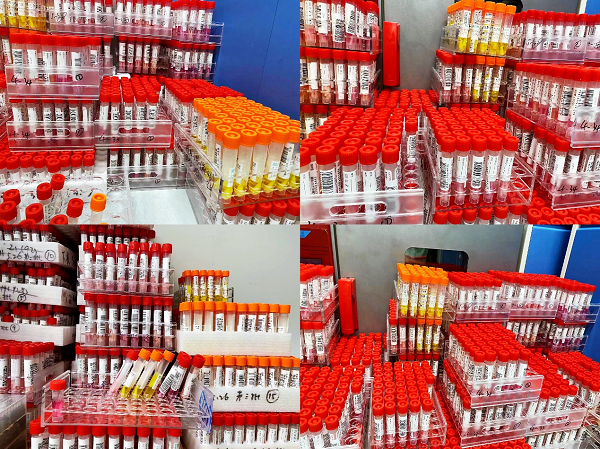 图片 1.png 图片 1.png