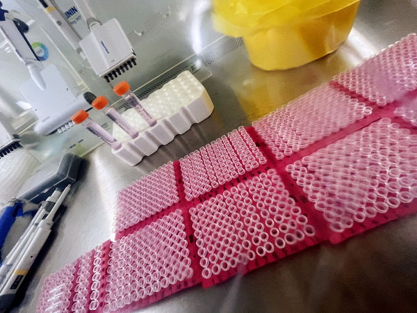 图片 2.png 图片 2.png