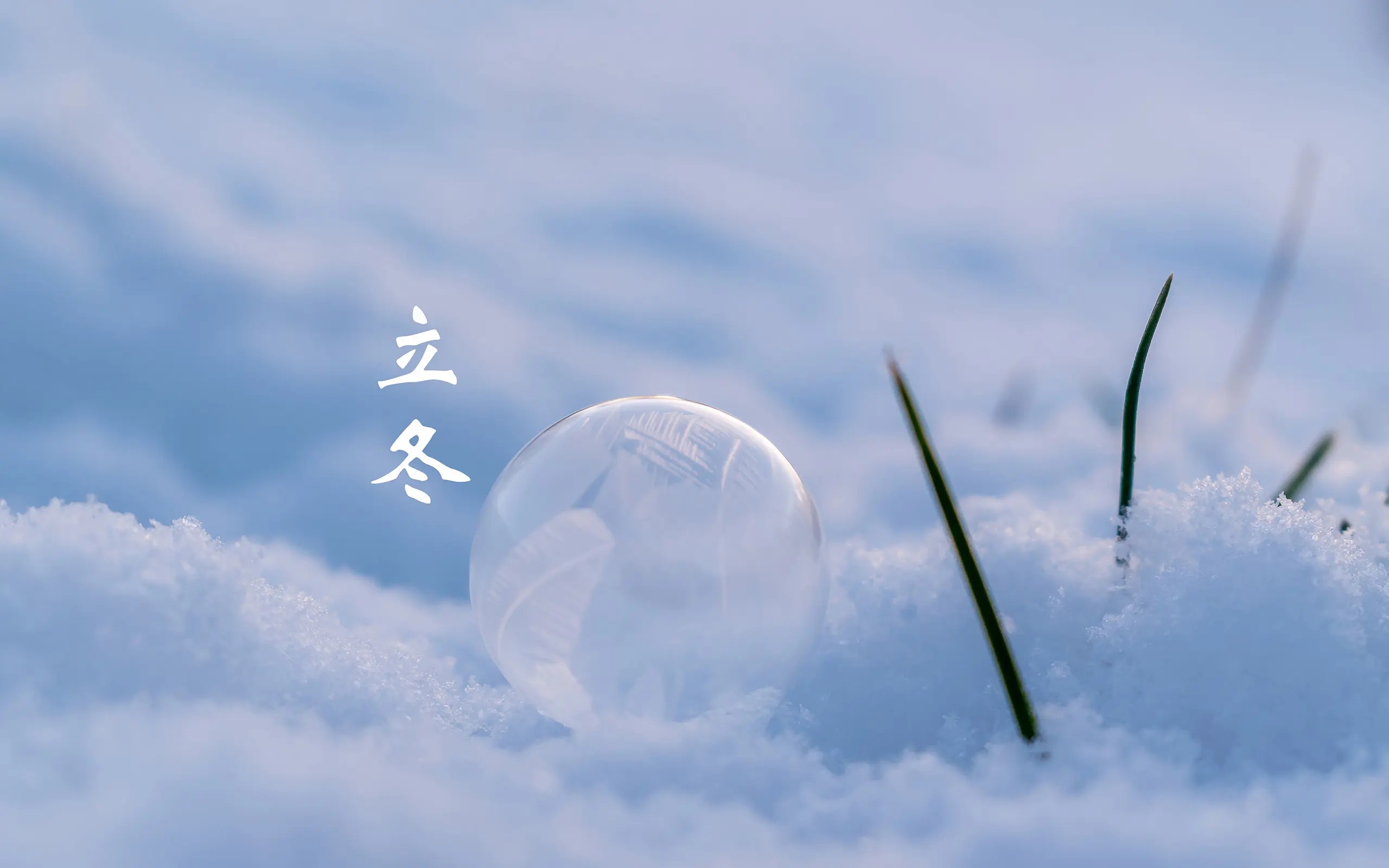 立冬.jpg 立冬.jpg