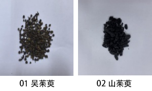 01吴茱萸02山茱萸a.png