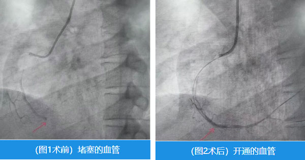 未标题-1.jpg 未标题-1.jpg