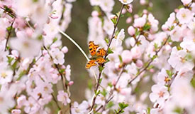 健康促进丨昼夜均分,春和景明