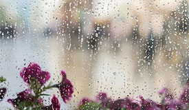 健康促进丨雨寄哀思,春启新程