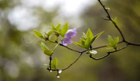 健康促进丨雨生百谷，春尽安暖