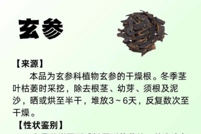 每周一药丨清热药丨玄参