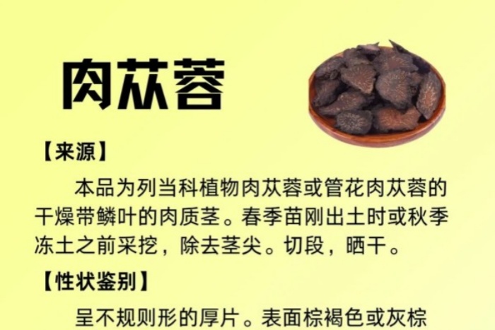 每周一药丨补虚药丨肉苁蓉